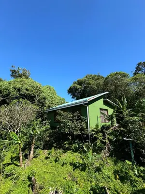 a green house on top of a hill with trees at Coffee House in Monteverde Costa Rica