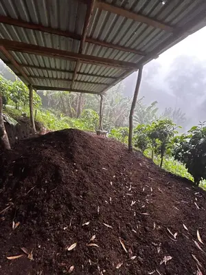 a large pile of dirt under a roof at Coffee House in Monteverde Costa Rica