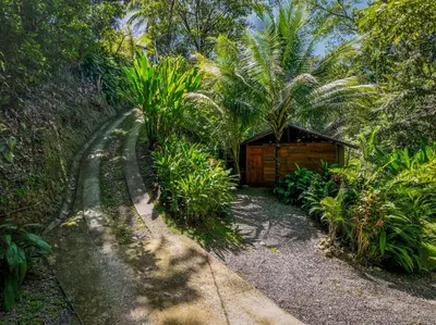 a small cabin in the middle of a forest at Private jungle “Loft del Rio” river access in Uvita