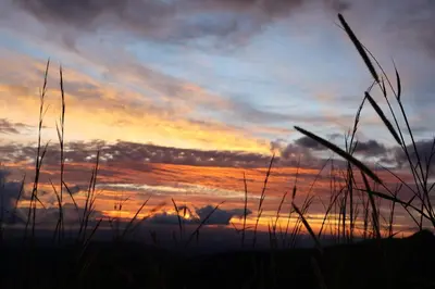 a sunset with tall grass in the foreground at Granja los Campesinos in Monteverde Costa Rica
