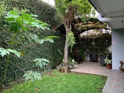 a garden with a tree and a fence at Stada San Jose Airport Hotel in Alajuela City
