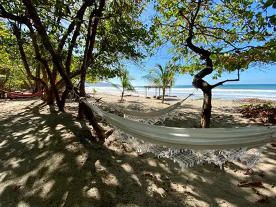 a hammock on a beach with trees and the ocean at Villas Paraiso Azul in Santa Teresa Beach