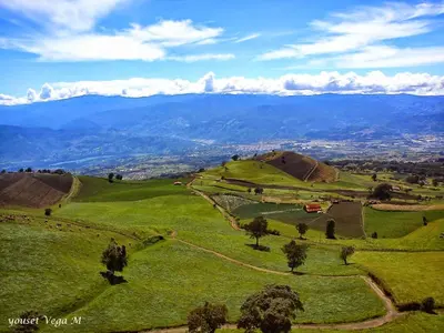 a green field with trees and mountains in the background at Casa Chicua in Sabanilla