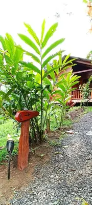 a red bench sitting in front of some plants at Arenal Rústic Lodge in Fortuna