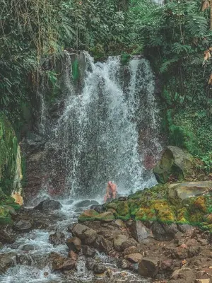 Gallery image of Oski Lodge, Rain Forest Rincón de la Vieja in Upala