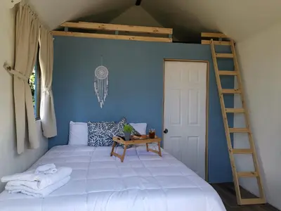 a bedroom with a bed with a ladder and a blue wall at Tiny House Dreamcatcher in Sarchí Sur