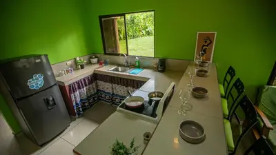 a green kitchen with a sink and a counter top at Green Leaf House in Fortuna