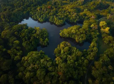 an aerial view of a river in a forest at El Zota Hotel in Cariari