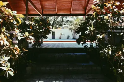 a view of a patio with plants and a roof at Hacienda Escondida 10min to Airport in Alajuela City