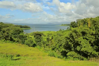 a view of a lake from a hill with trees at Toucan Lane in Nuevo Arenal