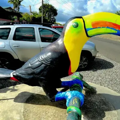Toucan Lane