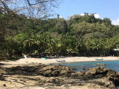 a beach with palm trees and people in the water at Hotel Aurora in Montezuma