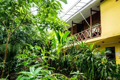 a building with a bunch of plants in front of it at Hotel Aurora in Montezuma