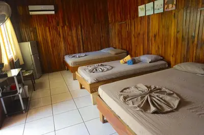 three beds in a room with wooden walls at Hotel Aurora in Montezuma