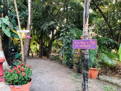 a sign on a pole in a garden with plants at Hotel Aurora in Montezuma