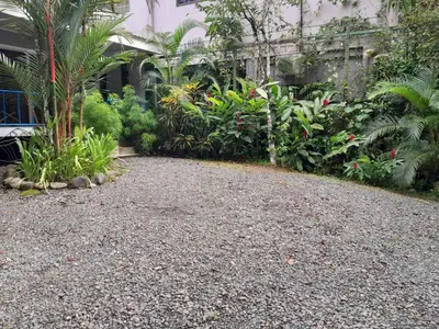 a garden with a bunch of plants and a building at Casas Guaney, full furnished studios! in Manuel Antonio