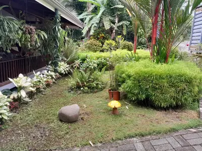 a garden with a fire hydrant in the grass at Casas Guaney, full furnished studios! in Manuel Antonio