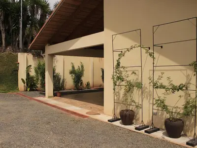 a building with two potted plants in front of it at Casa Sofia, a Gem Close to Orosi Thermal Pools! in Orosí