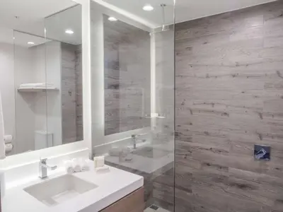 a bathroom with a sink and a shower at Hilton Garden Inn Santa Ana, San Jose in San José
