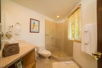 a bathroom with a shower and a toilet and a sink at Harmon Estate 6 bdrs private pool in Los Suenos in Herradura