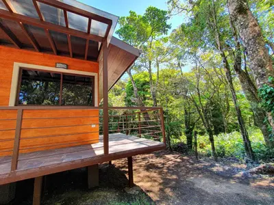 a tree house with a bench in the woods at Green Habitat in Monteverde Costa Rica