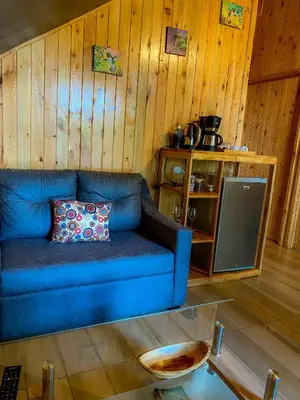 a blue couch in a room with wooden walls at Tityra Lodge in Monteverde Costa Rica