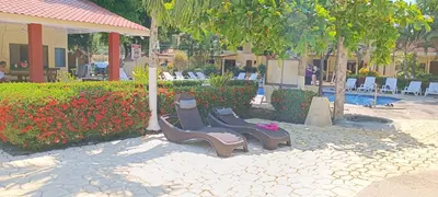 two chairs sitting on a patio under a tree at Centro Vacacional Bancosta in Jacó
