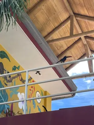 a bird sitting on a rail in a building at Hotel LUZ de LUNA Bahía Ballena in Uvita