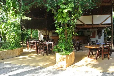 a restaurant with tables and chairs under a tree at Mundo Milo Eco Lodge in Playa Junquillal