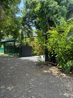 a garden with a gate and some plants and trees at DS House in Cabuya
