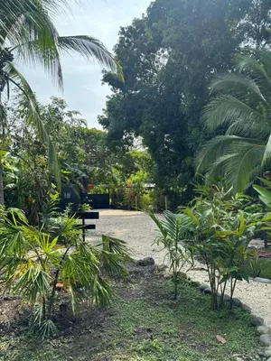 a park with a bench in the middle of trees at DS House in Cabuya