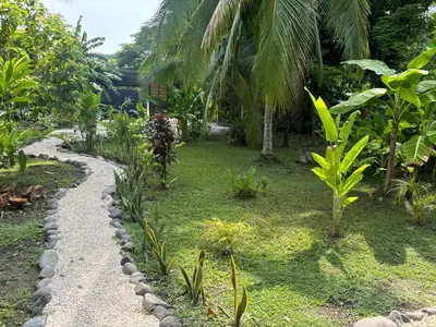 a garden with palm trees and a path at DS House in Cabuya