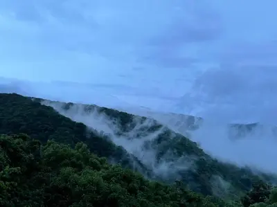 a view of a forested mountain with clouds in the background at La Casa Bonita in Monteverde Costa Rica