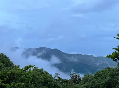 a group of trees with a mountain in the background at La Casa Bonita in Monteverde Costa Rica