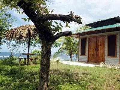 a house with a tree in front of the ocean at WINDOWS AT THE SEA in San Juanillo