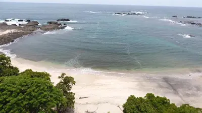 an aerial view of a beach with trees and the ocean at WINDOWS AT THE SEA in San Juanillo
