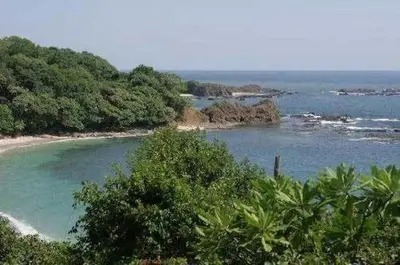 a view of a beach with trees and water at WINDOWS AT THE SEA in San Juanillo
