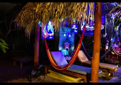 a hammock in a room with a palm tree at Villas Pura Vibra in Potrero
