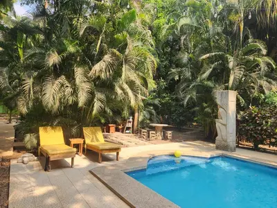 a swimming pool with two chairs and a palm tree at Villas Pura Vibra in Potrero