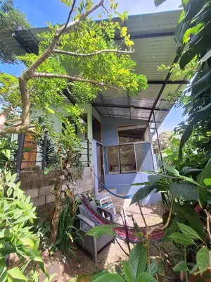 a home with a porch with a tree at Monteverde Cecropia Paradise in Monteverde Costa Rica