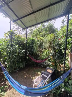 a hammock and chairs under a canopy at Monteverde Cecropia Paradise in Monteverde Costa Rica