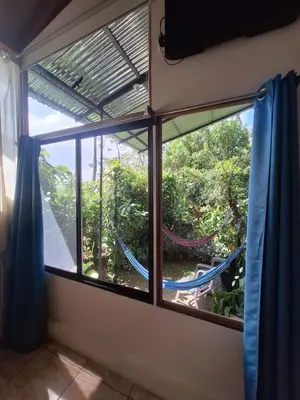 a window with blue curtains in a room with trees at Monteverde Cecropia Paradise in Monteverde Costa Rica
