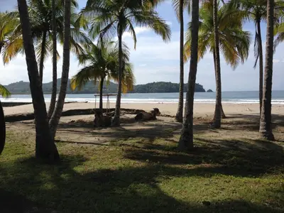 a group of palm trees on a beach with the ocean at Montelaguna Boutique Hotel in Sámara