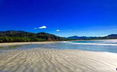 a beach with sand and the water and trees at Montelaguna Boutique Hotel in Sámara