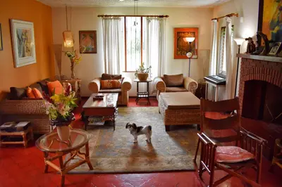 a living room with a dog standing in front of a fireplace at Cariari Bed & Breakfast in San José
