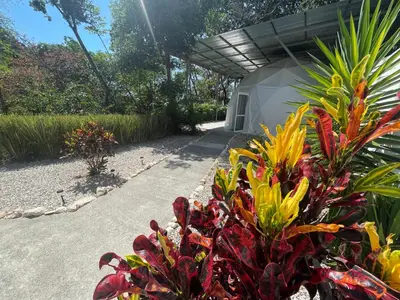 a garden with colorful plants in front of a building at Amaj Eco Lodge in Sámara