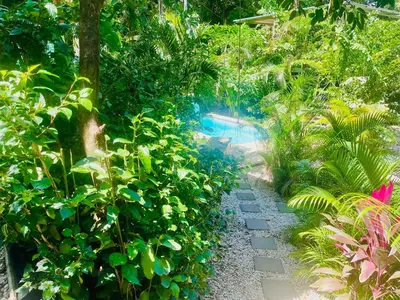 a path through a garden with lush green plants at Tropical House in Nosara- 3 min walk to the beach in Río Seco