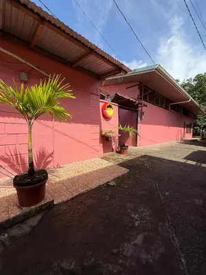a pink building with a palm tree in front of it at Hotel Sunset Rooms in Tortuguero