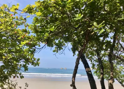 a beach with trees and the ocean in the background at Hotel Playa Espadilla & Gardens in Manuel Antonio
