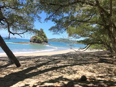 a view of the beach from the shade of trees at Hotel Playa Espadilla & Gardens in Manuel Antonio
